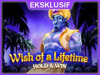 Wish of a Lifetime Hold Win